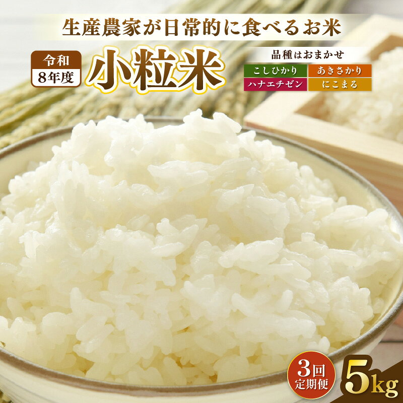 【先行予約】定期便≪3ケ月≫令和8年産 若干小粒米 5kg×3回 計15kg 福井県越前町産 コシヒカリ・ハナエチゼン・あきさかり・にこまるのいずれか1品種 【白米】 小粒規格米【2026年10月中旬以降順次発送】【お米 コメ kome 5キロ】
