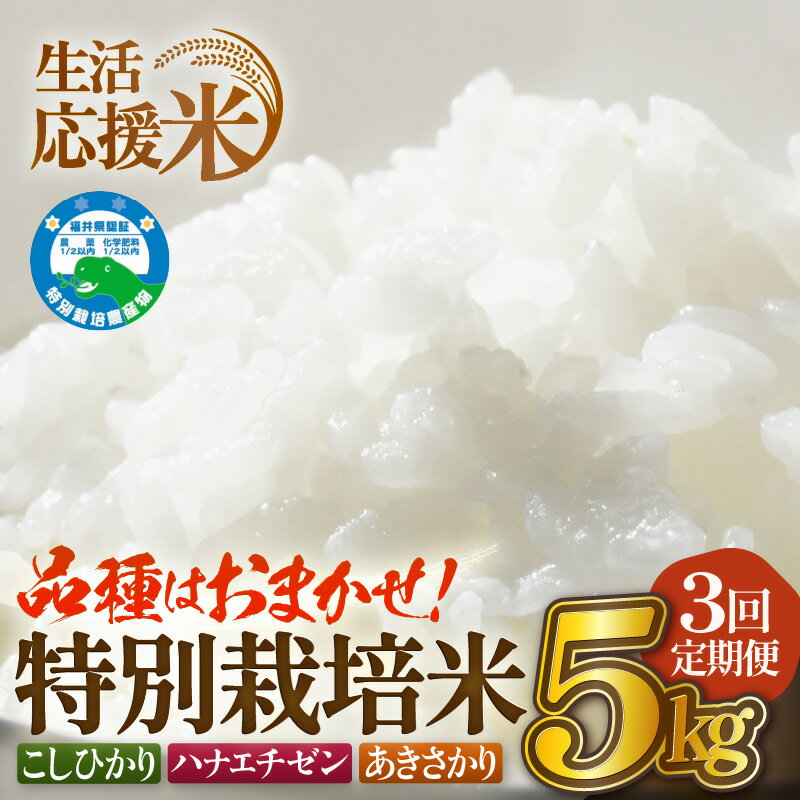 【ふるさと納税】【生活応援米】定期便 ≪3ヶ月連続お届け≫ 令和7年産 特別栽培米5kg × 3回（合計15kg）福井県越前町産【選べる精米方法：白米/玄米】【お米 コメ kome 5キロ 白米 家庭用 農薬5割減】