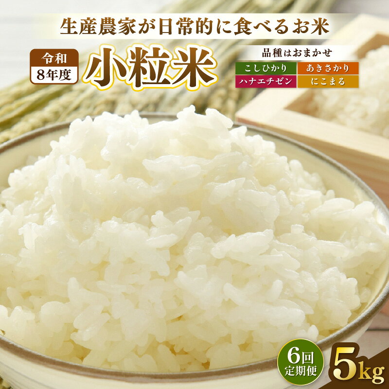 【ふるさと納税】【先行予約】定期便≪6ケ月≫令和8年産 若干小粒米 5kg×6回 計30kg 福井県越前町産 コシヒカリ・ハナエチゼン・あきさかり・にこまるのいずれか1品種 【白米】小粒規格米【2026年10月中旬以降順次発送】【お米 コメ kome 5キロ】 f184233-echizen-10001762 福井県越前町 サンプル画像2