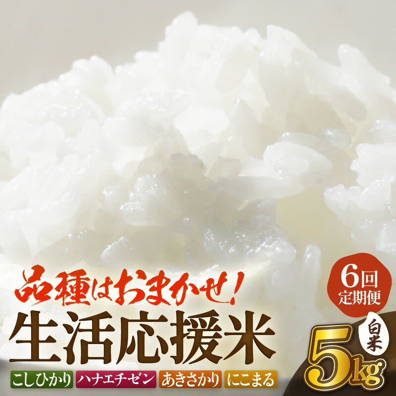【ふるさと納税】【先行予約】定期便 ≪6ヶ月連続お届け≫ 令和8年産 生活応援米5kg × 6回（合計30kg）福井県越前町産【白米】【2026年10月中旬以降順次発送】【お米 コメ kome 5キロ 白米 家庭用】