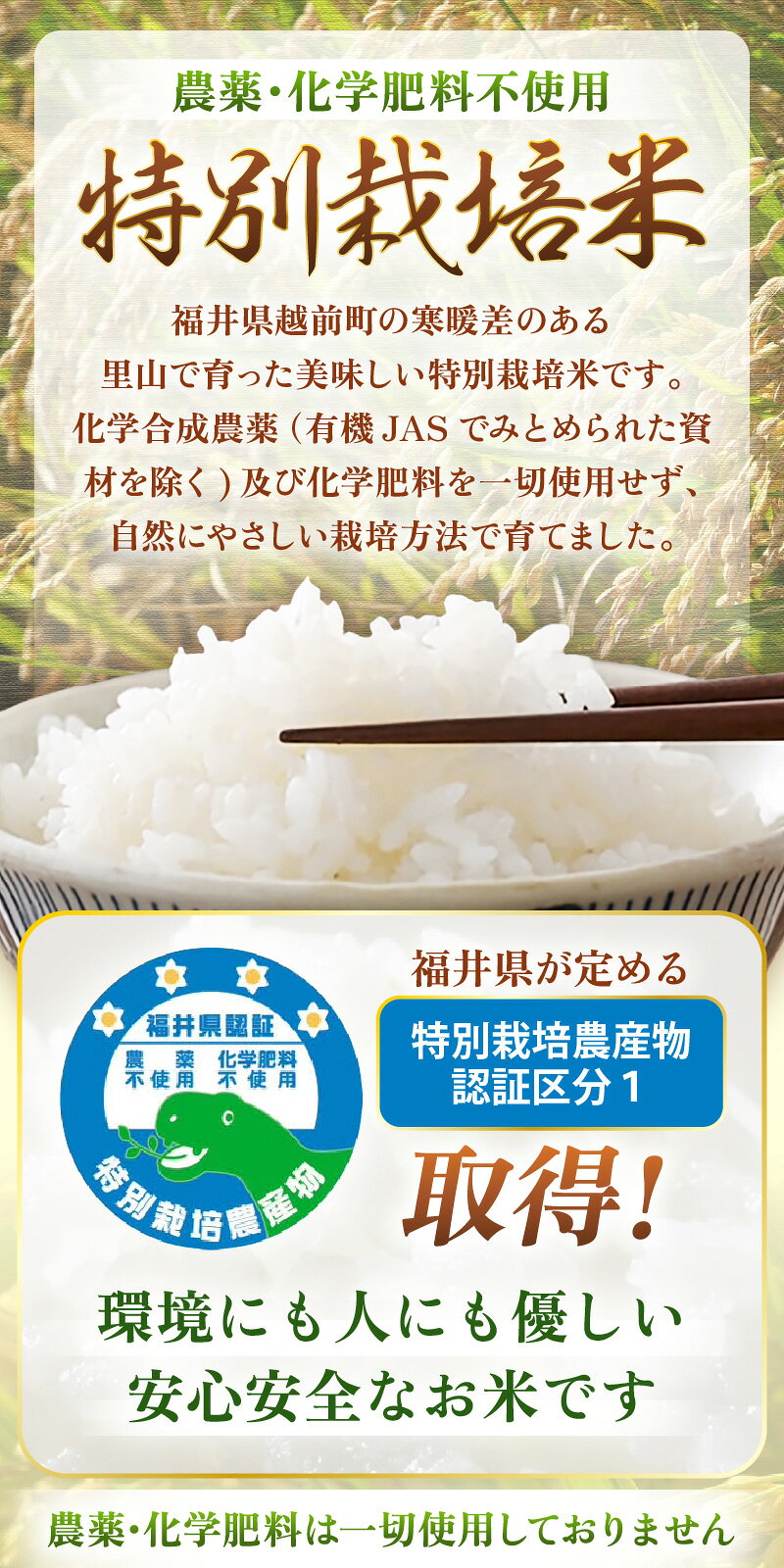 【ふるさと納税】【先行予約】定期便 ≪6ヶ月連続お届け≫【令和8年産】特別栽培米コシヒカリ5kg × 6回（合計30kg）【選べる精米方法：白米／玄米】 農薬不使用 福井県認証区分1取得 越前町【2026年10月中旬以降順次発送】【5キロ お米 コメ 農薬化学肥料不使用 送料無料】 f184233-echizen-10001766 福井県越前町 サンプル画像3