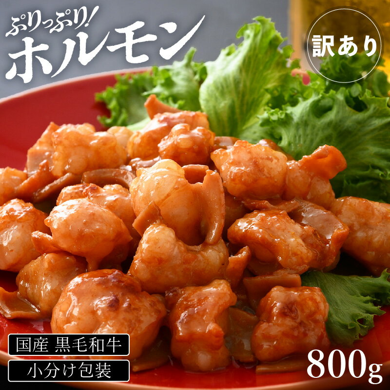 【ふるさと納税】《2026年発送　先行予約》【訳あり】国産 黒毛和牛 ぷりっぷり ホルモン 800g（200g × 4袋）特製タレ味付き 小分け【 小腸 】 [e02-a016]