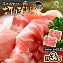 【ふるさと納税】定期便 ≪3ヶ月連続お届け≫「福井県ブランド豚」ふくいポーク 切り落とし 1kg(500g × 2P)× 3回(計3kg)【銘柄豚 福井県産 ポーク 豚肉 ぶたにく 使い勝手抜群 ぶた丼 豚汁 生姜焼き 煮物 三元交配 肉 冷凍 小分け バーべキュー 国産】