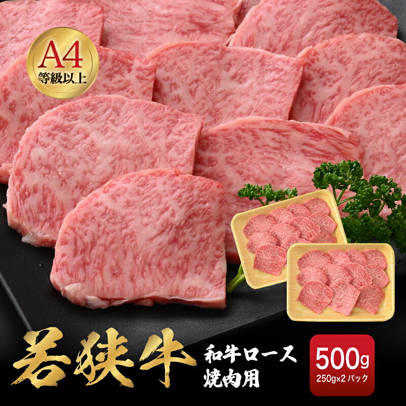 【ふるさと納税】「福井県ブランド牛肉」若狭牛 和牛ロース焼肉用 計500g（250g × 2パック）福井県産 ロースA4等級 以上を厳選！【牛肉 黒毛和牛 黒毛 和牛 冷凍 小分け グルメ】 [e02-c011] f184233-echizen-10001043 福井県越前町 サンプル画像2