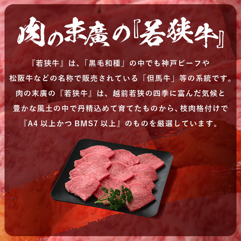 【ふるさと納税】「福井県ブランド牛肉」若狭牛 和牛ロース焼肉用 計500g（250g × 2パック）福井県産 ロースA4等級 以上を厳選！【牛肉 黒毛和牛 黒毛 和牛 冷凍 小分け グルメ】 [e02-c011] f184233-echizen-10001043 福井県越前町 サンプル画像3
