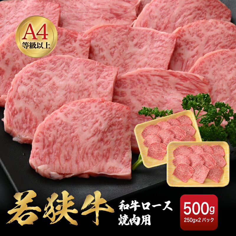 【ふるさと納税】「福井県ブランド牛肉」若狭牛 和牛ロース焼肉用 計500g(250g × 2パック)福井県産 ロースA4等級 以上を厳選!【牛肉 黒毛和牛 黒毛...