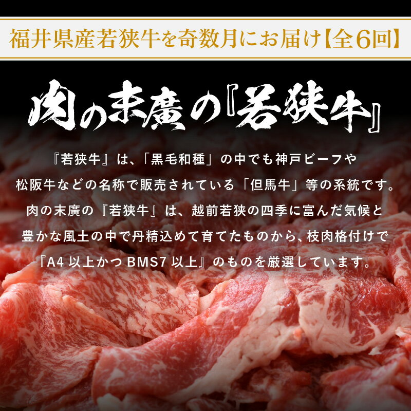 【ふるさと納税】定期便 ≪奇数月に計6回お届け≫ 肉の定期便6回 A4等級以上 黒毛和牛「若狭牛」を奇数月に6回お届け 厳選プレミアム定期便 合計約5.6kg 【 国産牛 ロース すき焼き しゃぶしゃぶ ハンバーグ 焼肉 バーべキュー お楽しみ 冷凍】 3