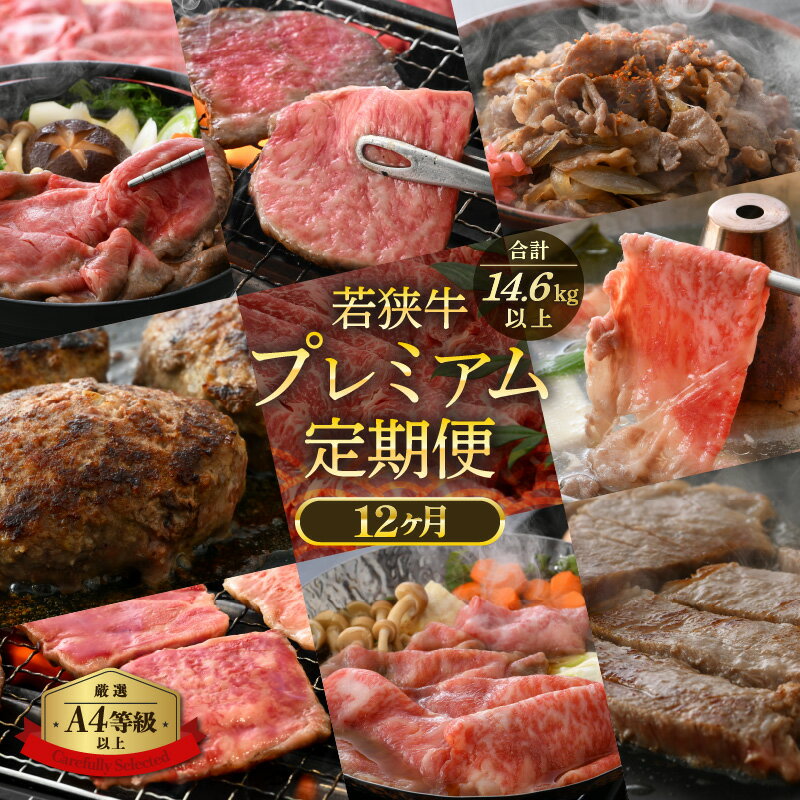 【ふるさと納税】定期便 ≪12ヶ月連続お届け≫ 肉の定期便 肉好き満足！和牛 若狭牛ボリューム満点 厳選プレミアム 食べ比べ計14.6kg以上【 国産牛 ロース すき焼き しゃぶしゃぶ ハンバーグ サーロイン 焼肉 バーべキュー 毎月届くお楽しみ 】