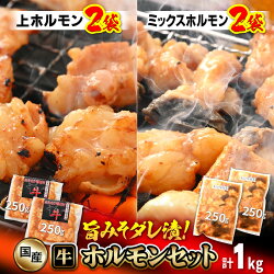 【ふるさと納税】国産 牛ホルモン セット 計1kg（上ホルモン・ミックスホルモン 各2袋） 旨みそダレ漬け！ 【 冷凍 お手軽 小分け BBQ バーベキュー 】 [e03-a014]･･･ 画像1