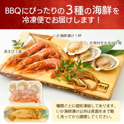 【ふるさと納税】厳選！海鮮 BBQ ≪D≫セット（3種7品、2〜3人用）するめいか漁師漬け えび 帆立 バーベキュー アウトドア 網焼き 冷凍便 [e04-a068]･･･ 画像2