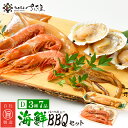 27位! 口コミ数「1件」評価「5」厳選！海鮮 BBQ ≪D≫セット（3種7品、2〜3人用）するめいか漁師漬け えび 帆立 バーベキュー アウトドア 網焼き 冷凍便 [e04-･･･ 