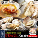 缶焼き 海鮮ガンガン焼きセット 国産貝3種盛(サザエ、カキ、ほたて) 