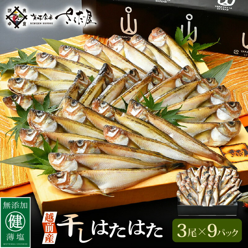 【ふるさと納税】越前産 干しはたはた（3尾 × 9パック）越前塩のみで仕上げた一塩干し！【干物 ひもの ハタハタ 海鮮 冷凍 個包装】 お歳暮 ギフト のし対応可 備考欄に「御歳暮 希望」とご記入お願いいたします。 [e04-a034]