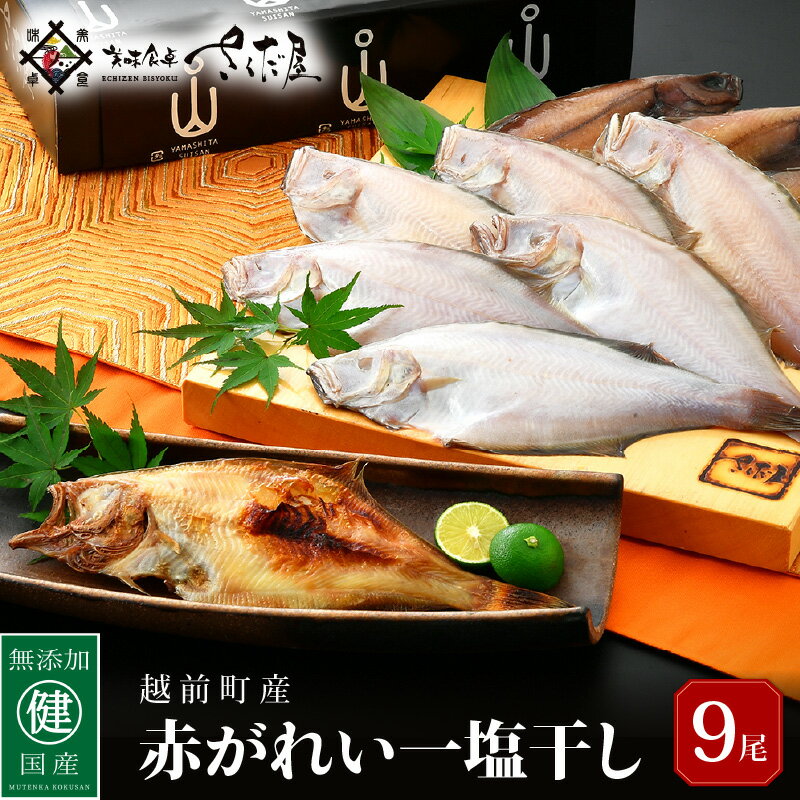 7位! 口コミ数「0件」評価「0」干物 セット 赤がれい 一塩干し 大サイズ （1尾 × 9パック入り）1尾約170g【福井県産 赤カレイ 小分け 個包装 詰め合わせ 保存料･･･ 