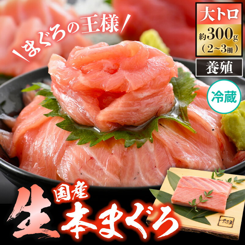 【ふるさと納税】国産 生本マグロ 大トロ 極上霜降り 約300g（2〜3柵）まぐろの王様！！【本まぐろ 鮪 ホンマグロ 大とろ 冷蔵 お取り寄せ グルメ】 [e04-b029]