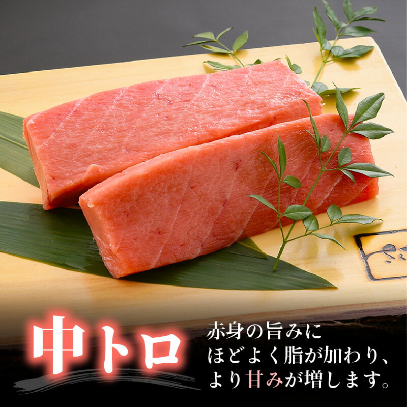 【ふるさと納税】国産 生本マグロ 中トロ 約300g（2〜3柵）まぐろの王様！！【本まぐろ 鮪 ホンマグロ まぐろ マグロ 中とろ 冷蔵 刺身 海鮮 鮮魚 お取り寄せ グルメ 贈答】 aj [e04-a081]