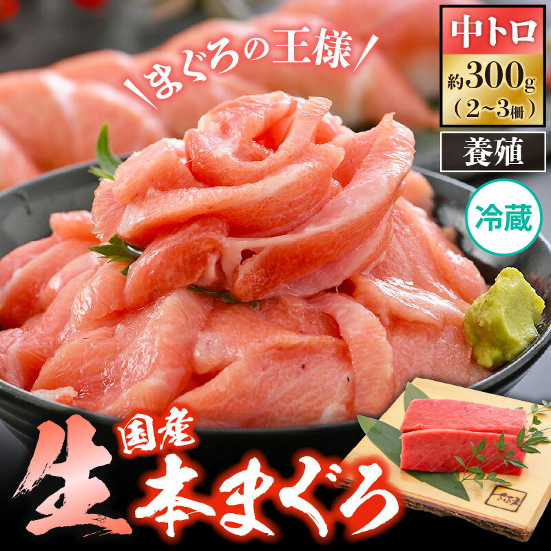 【ふるさと納税】国産 生本マグロ 中トロ 約300g（2〜3