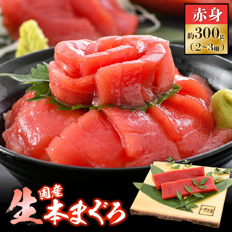 【ふるさと納税】 国産 生本マグロ 赤身 約300g（2〜3