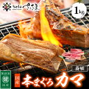 福井県越前町の画像2