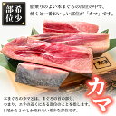 福井県越前町の画像3