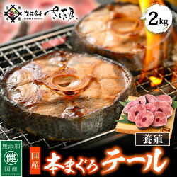 【ふるさと納税】国産 本まぐろ テール 2kg まぐろの王様！引き締まった身に旨味が凝縮 ステーキや煮物に コラーゲンたっぷり！【 鮪 マグロ おつまみ 希少 グルメ お取り寄せ 冷凍 】 [e04-a054]･･･ 画像1