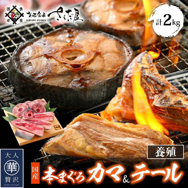 【ふるさと納税】国産 本まぐろ カマ ＆ テールセット 計2kg まぐろの王様！希少部位セット（各1kg）【 鮪 マグロ 希少 グルメ お取り寄せ 宅飲み BBQ バーベキュー 】 [e04-a055]