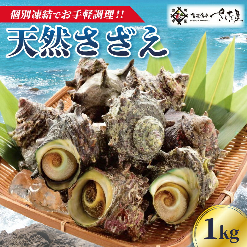 【ふるさと納税】天然 さざえ ≪1kg≫ 加熱用 高鮮度 急速冷凍【海鮮 BBQ バーベキュー 栄螺 サザエ】 [e04-a056]