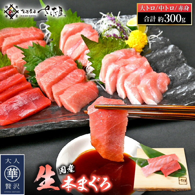 生 本マグロ まぐろ三昧 おためし セット 計約300g「大トロ・中トロ・赤身」各約100g(計3柵)[本まぐろ マグロ まぐろ 大とろ 中とろ 冷蔵 お取り寄せ グルメ] [e04-a083]