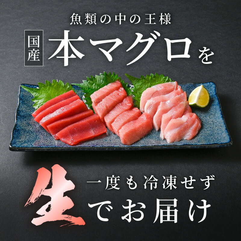 【ふるさと納税】生 本マグロ まぐろ三昧 おひとりさま ミニ セット 合計約150g「大トロ・中トロ・赤身」各約50g（計3柵）【本まぐろ マグロ まぐろ 大とろ 中とろ 冷蔵 お取り寄せ グルメ aj】 [e04-a122]