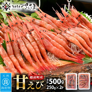 【ふるさと納税】鮮度抜群!越前町産 甘えび 250g × 2Pセット 小分け パックで食べやすい!【えび エビ 海老 刺身 海鮮 海産物 魚貝類 魚介類 新鮮 冷凍 】