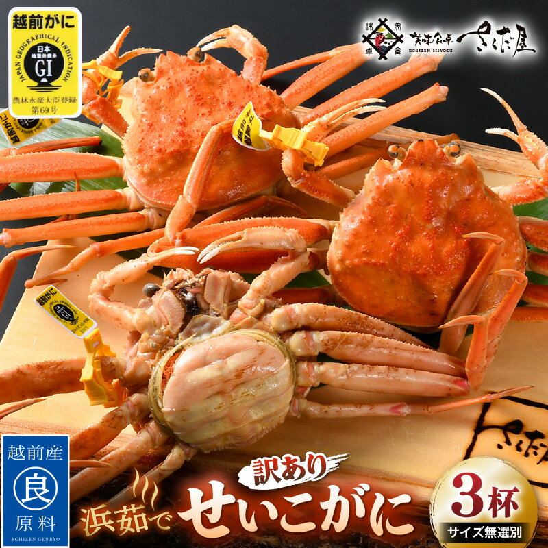 【ふるさと納税】 越前産 せいこがに 訳あり サイズ無選別（生で約100～200g）× 3杯（冷凍）【ずわいがに 雌】【かに カニ 蟹 せいこ蟹 セコガニ かに カニ 蟹 むき身 小分け 冷凍 福井県】