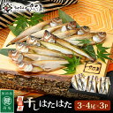 【ふるさと納税】越前産 干しはたはた(3〜4尾)× 3パック 越前塩のみで仕上げた一塩干し!【干物 ひもの ハタハタ 海鮮 冷凍 個包装 】 [e04-a108...