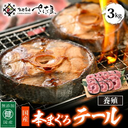 【ふるさと納税】国産 本まぐろ テール 3kg まぐろの王様！引き締まった身に旨味が凝縮 ステーキや煮物に コラーゲンたっぷり！【 鮪 マグロ おつまみ 希少 グルメ お取り寄せ 冷凍 】 [e04-b021]･･･ 画像1