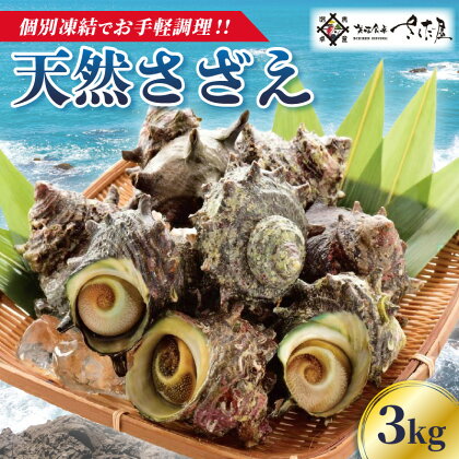 天然 さざえ ≪3kg≫ 加熱用 高鮮度 急速冷凍【海鮮 BBQ バーベキュー 栄螺 サザエ】 [e04-b022]