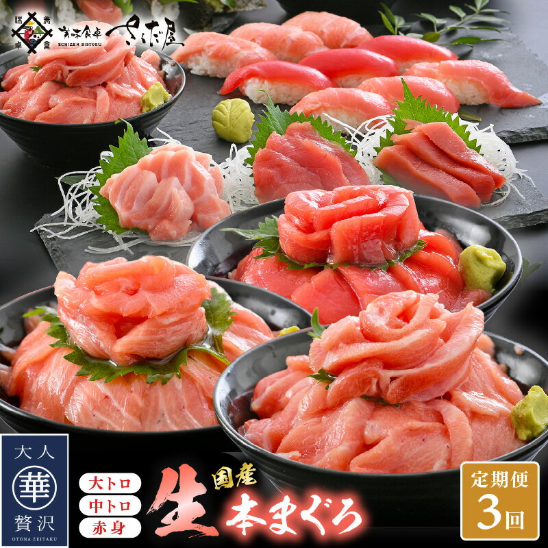 【ふるさと納税】定期便 ≪3カ月連続お届け≫ おすすめ！まぐろの王様！生本まぐろ 食べ比べ 定期便 計3回 【本まぐろ マグロ まぐろ 大とろ 中トロ 赤身 刺身 冷蔵 お取り寄せ グルメ】 [e04-b028]