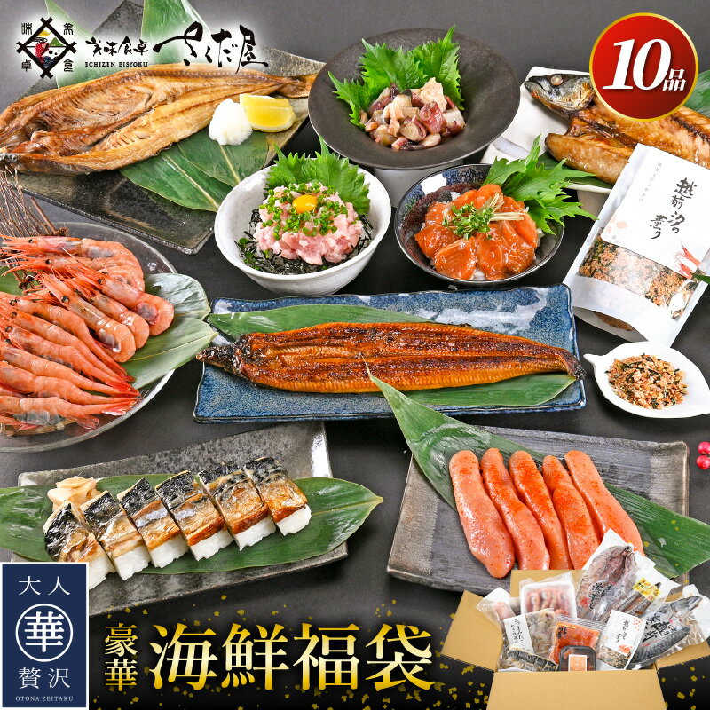 海鮮福袋 全10品セット[魚介類 海鮮 福袋 冷凍 詰め合わせ] [e04-c016]