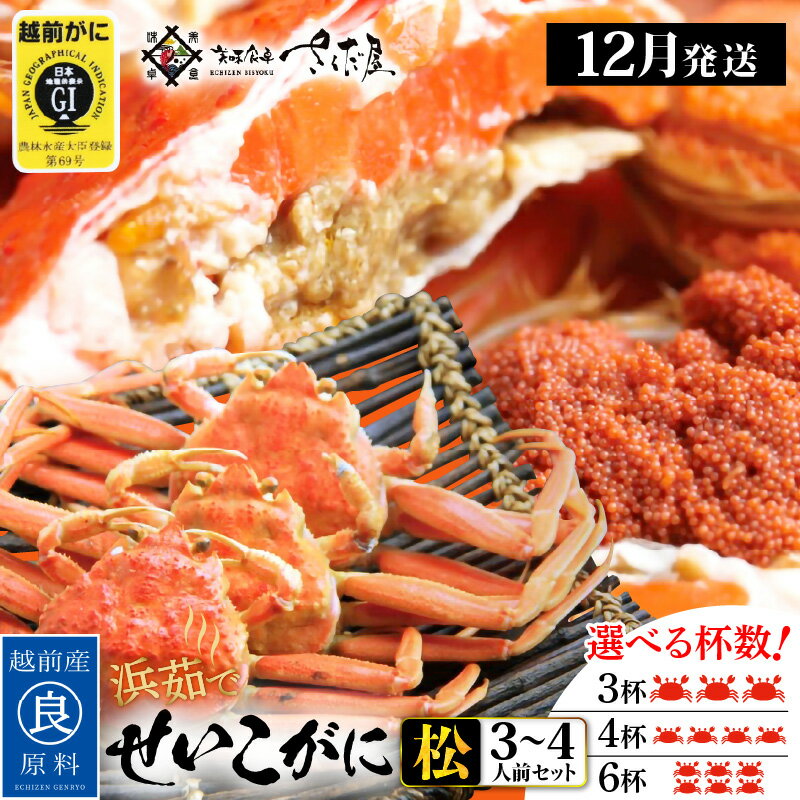 【ふるさと納税】浜茹で 越前せいこがに≪松セット≫3〜4人前 かに酢 食べ方しおり スプーン付き【雌 ズワイガニ】【カニ 越前ガニ セコガニ カニみそ】【選べる杯数！3〜6杯】【12月発送分】希望日指定可 備考欄に希望日をご記入ください [e04-x010_12]