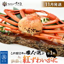 【ふるさと納税】≪浜茹で≫紅ずわいがに × 1杯 この道50年の職人が選びました!【紅ズワイガニ 紅ずわい蟹 かに カニ 蟹 姿 ボイル 冷蔵 福井県】【11月...