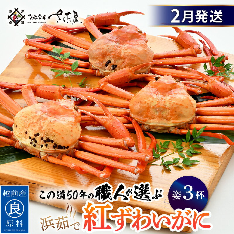 【ふるさと納税】≪浜茹で≫紅ずわいがに × 3杯 この道50年の職人が選びました！【紅ズワイガニ 紅ずわい蟹 かに カニ 蟹 姿 ボイル 冷蔵 福井県】【2月発送分】希望日指定可 備考欄に希望日をご記入ください [e04-x014_02]