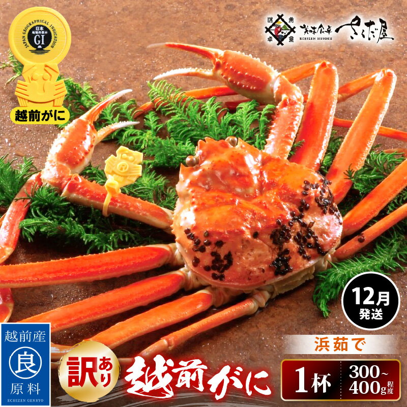 【ふるさと納税】【訳あり】≪浜茹で≫越前がに 約300〜400g × 1杯（茹で前重量）食べ方しおり付き【12月発送】【雄 ズワイガニ ずわいがに かに カニ 蟹 姿 ボイル 福井県】希望日指定可 備考欄に希望日をご記入ください [e04-x020_12]