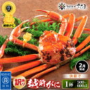 【ふるさと納税】【訳あり】≪浜茹で≫越前がに 約500〜600g × 1杯(茹で前重量) 食べ方しおり付き【2月発送】【雄 ズワイガニ ずわいがに かに カニ ...