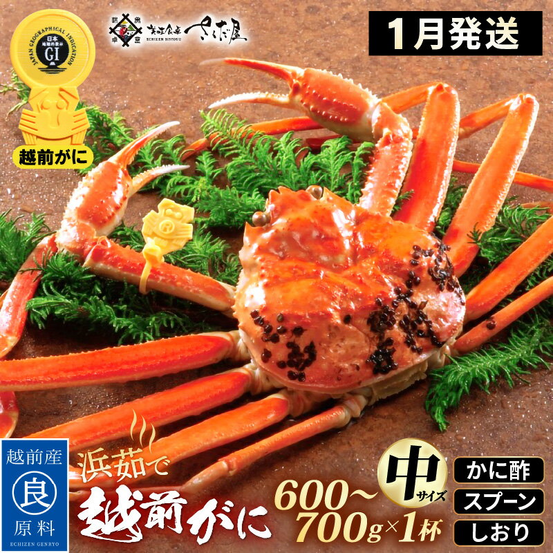 【ふるさと納税】浜茹で 越前がに 中サイズ（生で600〜700g） × 1杯 かに酢 食べ方しおり スプーン付き..