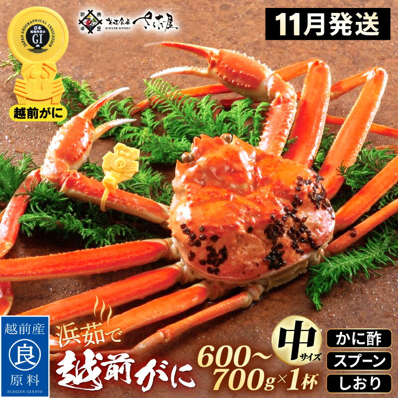 【ふるさと納税】浜茹で 越前がに 中サイズ（生で600〜700g） × 1杯 かに酢 食べ方しおり スプーン付き【11月発送分】【かに カニ 蟹 ズワイガニ ずわいがに 姿 ボイル 福井県 冷蔵】希望日指定可 備考欄に希望日をご記入ください [e04-x029_11]のサムネイル