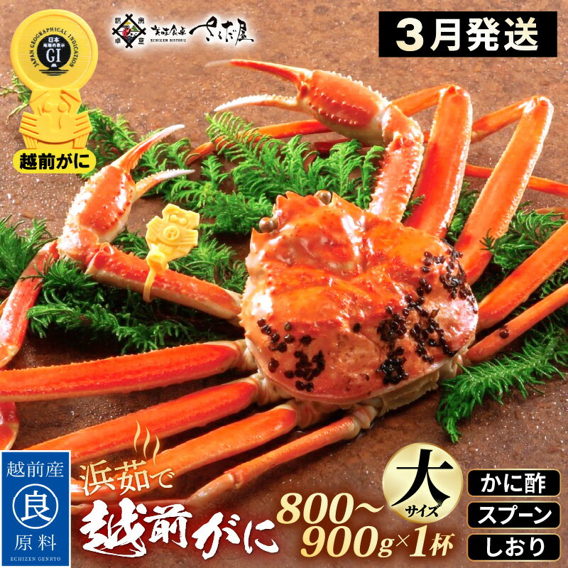 【ふるさと納税】浜茹で 越前がに 大サイズ（生で800〜900g） × 1杯 かに酢 食べ方しおり スプーン付き【3月発送分】【かに カニ 蟹 ズ..