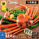【ふるさと納税】浜茹で 越前がに 特大サイズ(生で1000〜1100g) × 1杯 かに酢 食べ方しおり スプーン付き 【1月発送分】【かに カニ 蟹 ズワイガ...
