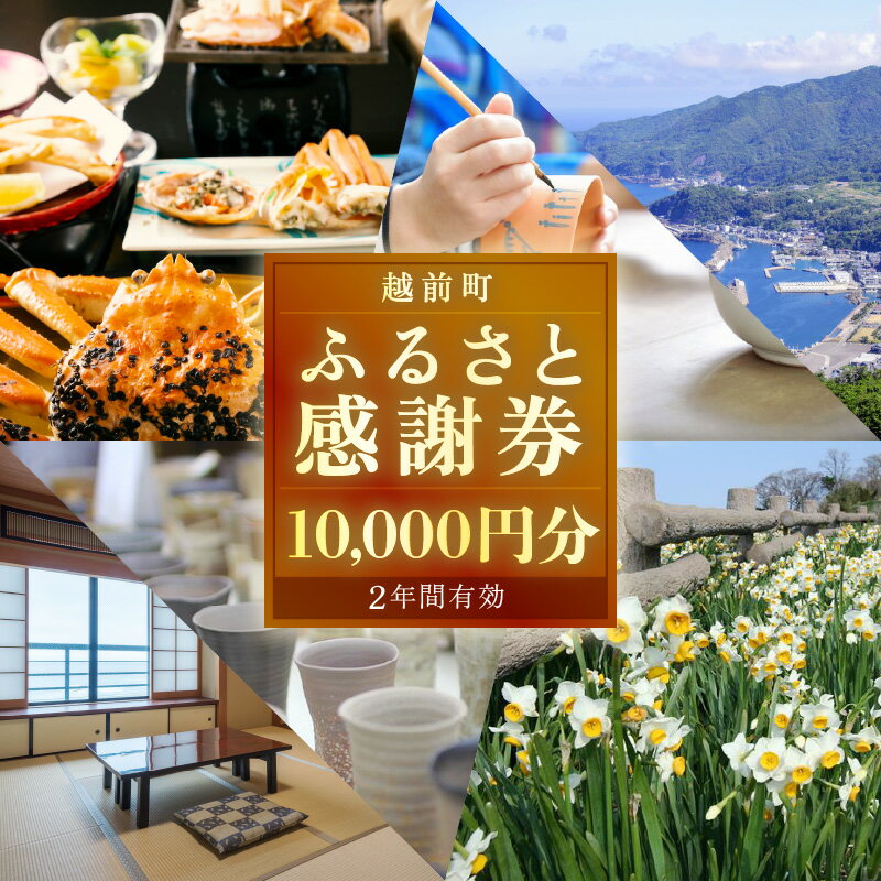 【ふるさと納税】越前町ふるさと感謝券（10,000円分）【宿泊 レジャー アウトドア BBQ 体験型 宿泊券 福井県】 [e05-c001] 2