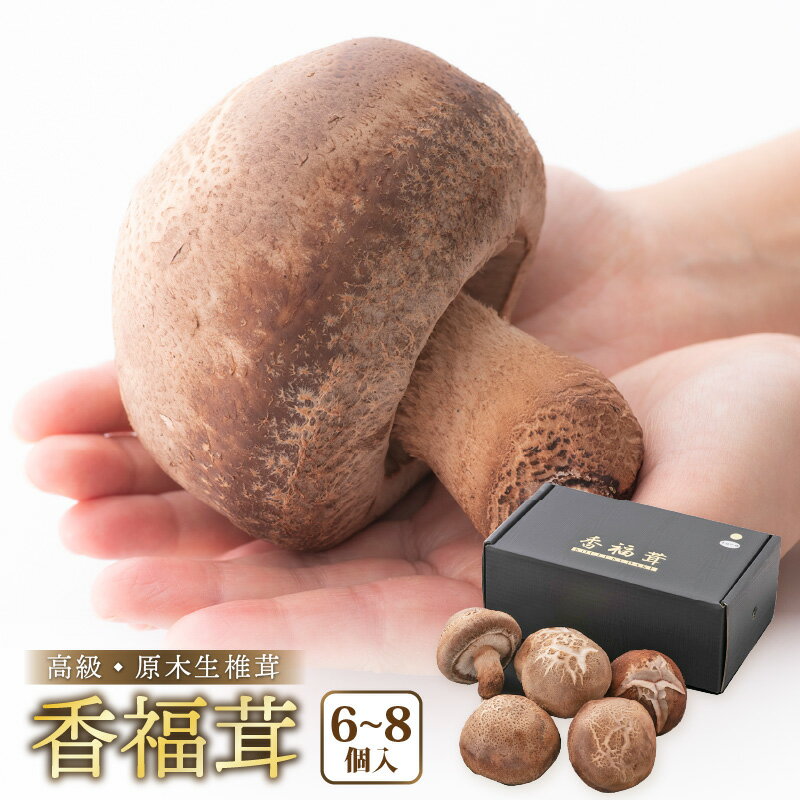 【ふるさと納税】 【先行予約】「福井県ブランドしいたけ」原木生椎茸「香福茸」6～8個　高級 極上の逸品！調理レシピ有 食べ甲斐あり大きなシイタケ！ 【2026年1月上旬～2月下旬の間に発送予定】 [e06-b002]