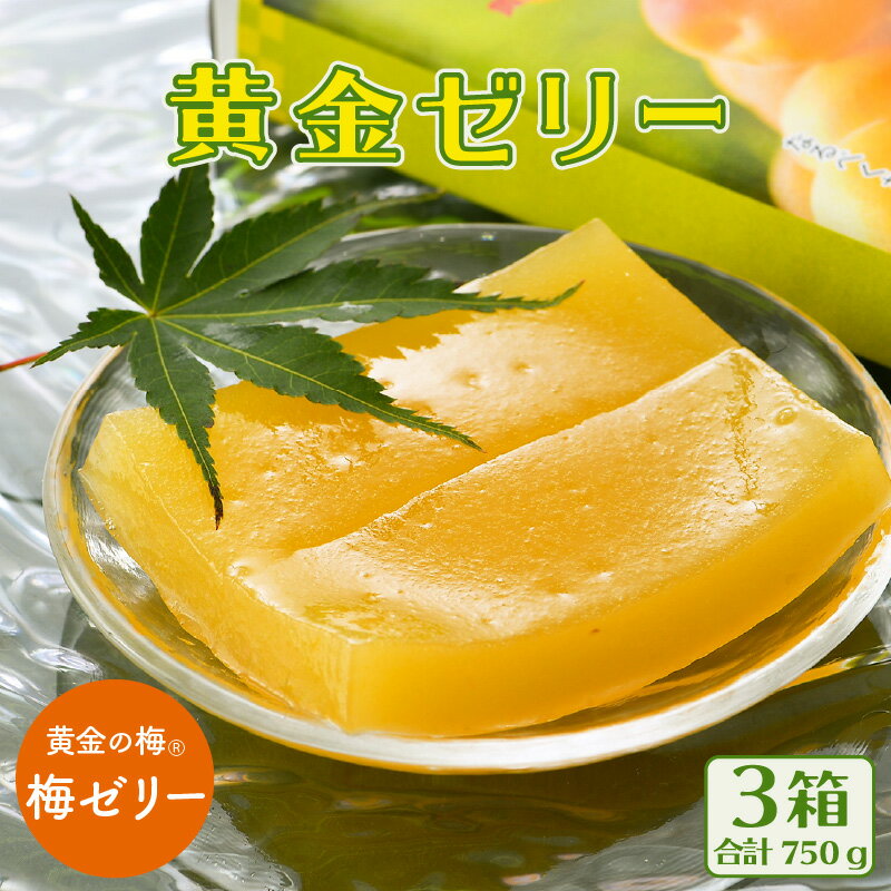 【先行予約】夏の水羊羹！黄金ゼリー 250g × 3箱 黄金梅ピューレと自慢の白餡がコラボ！【2024年6月上旬頃より順次発送予定】【阿んま屋 水ようかん 計750g】 [e07-a005]