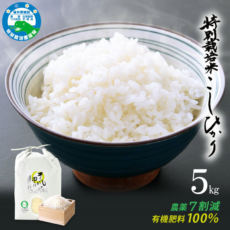 令和7年産 特別栽培米 コシヒカリ 5kg 福井県産米(有機肥料100% 農薬7割減)「そよ風田んぼ」[令和7年産 人気品種 田んぼの天使 ] [e10-a019]