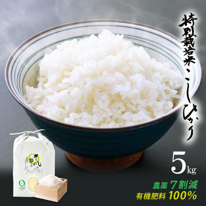 2位! 口コミ数「0件」評価「0」米 特別栽培米 コシヒカリ 5kg 令和5年産 福井県産【こしひかり 5キロ 精米 人気品種 有機肥料100% 減農薬栽培】 [e10-a0･･･ 